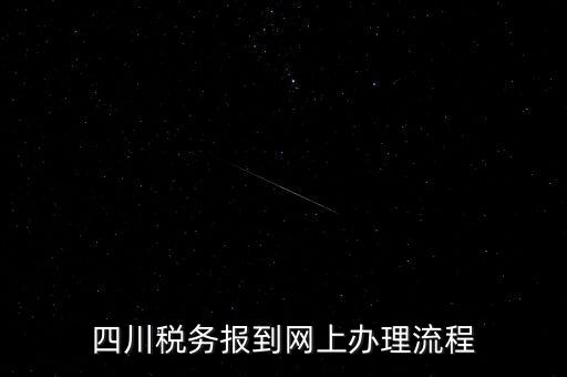 四川企業地稅如何網上申報系統，稅務申報如何網上申報