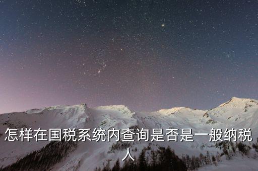 怎樣在國稅系統內查詢是否是一般納稅人