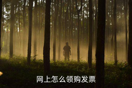 網上怎么領購發票