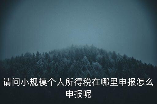 如何申報自然人兩處所得，請問小規模個人所得稅在哪里申報怎么申報呢
