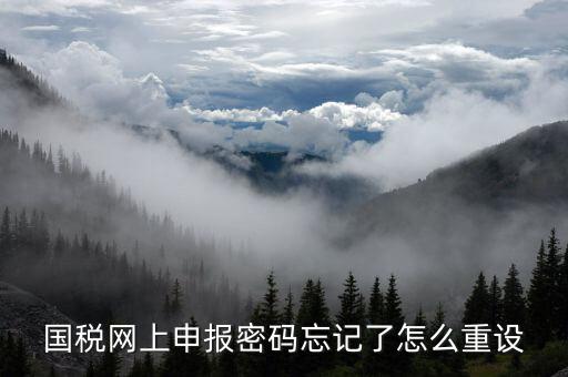 國稅網上申報密碼忘記了怎么重設