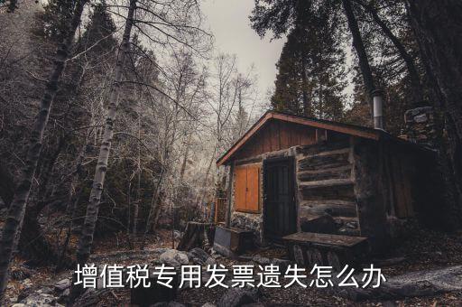 丟失專用發票如何，丟失空白增值稅專用發票如何處理