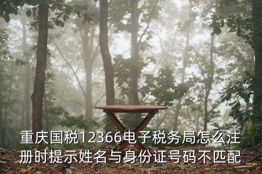 如何注冊重慶電子稅務登記證，重慶九龍坡新辦企業到地稅辦理電子稅務局要那些資料