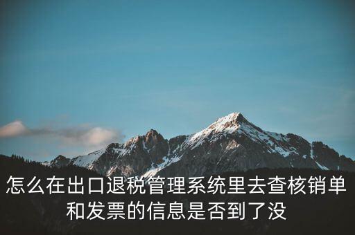 怎么在出口退稅管理系統里去查核銷單和發票的信息是否到了沒