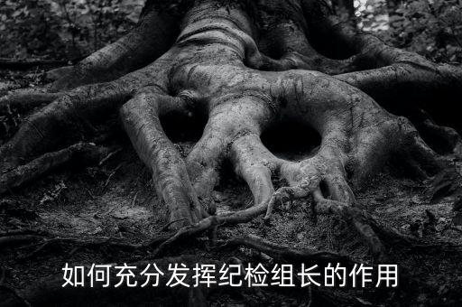 稅務(wù)局如何貫徹落實(shí)紀(jì)檢組長(zhǎng)的講話，如何充分發(fā)揮紀(jì)檢組長(zhǎng)的作用