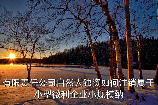 如何注銷小微企業所得稅，小微企業工商稅務注銷手續
