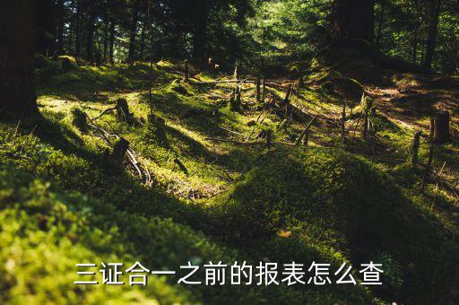 如何查三證合一之前的國稅數據，三證合一之前的報表怎么查