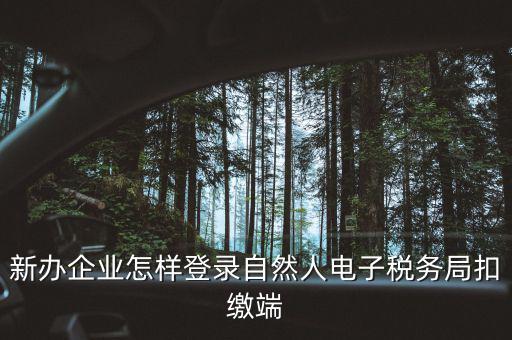 新辦企業怎樣登錄自然人電子稅務局扣繳端