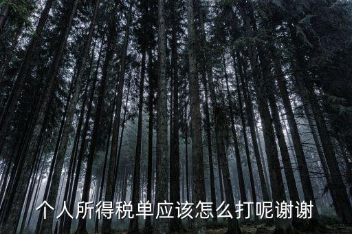 如何打印個(gè)人所得稅清單，請問如何打印個(gè)人個(gè)人所得稅繳款單據(jù)