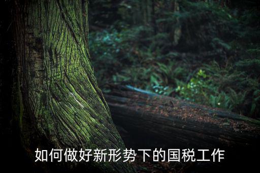 如何貫徹國稅工作會議上的講話，如何貫徹落實國稅系統化政府采購工作規范