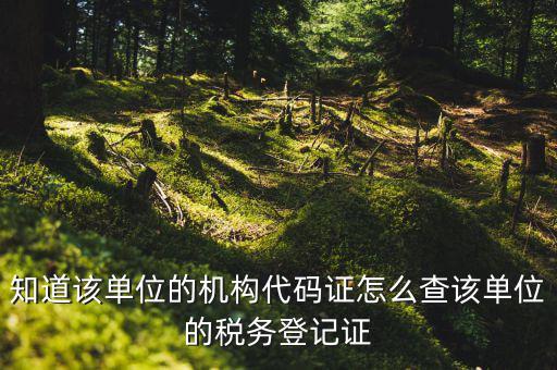 如何查企業(yè)稅務登記證號，公司的稅務登記證號怎么查詢