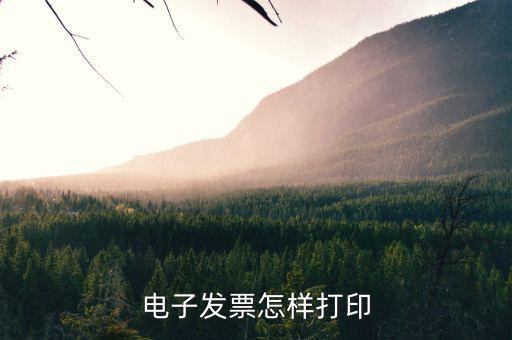 航天電子發票如何打印，電子發票怎樣打印