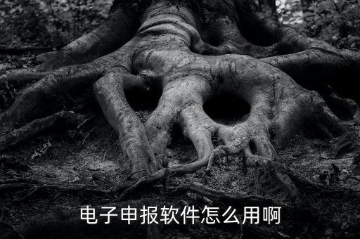濟南電子稅務如何使用，網上辦稅平臺手機app怎么操作