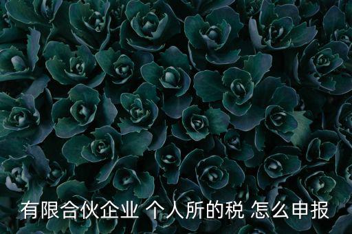 有限合伙企業 個人所的稅 怎么申報