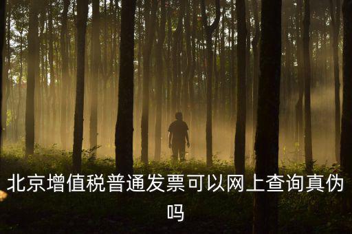 北京增值稅普通發票可以網上查詢真偽嗎