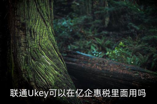 億企惠稅如何填報，聯通硬證書里面還贈送的其他產品是什么怎么用