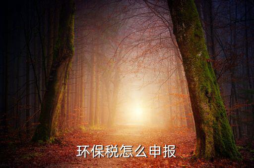 環(huán)境保護(hù)稅b類如何申報表，環(huán)保稅申報步驟是什么