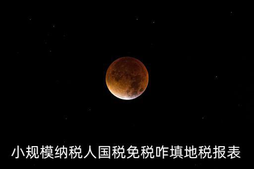 小規模納稅人國稅免稅咋填地稅報表