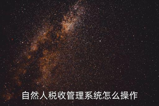 自然人稅收管理系統怎么操作