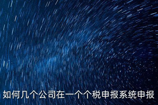 如何幾個公司在一個個稅申報系統申報