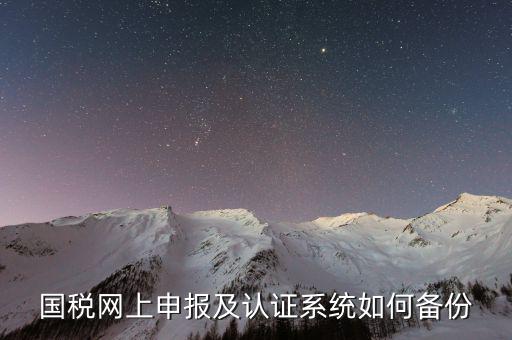 稅友申報(bào)軟件如何備份，國(guó)稅網(wǎng)上申報(bào)及認(rèn)證系統(tǒng)如何備份