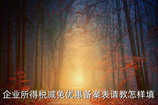 企業所得優惠備案如何，企業所得稅減免優惠備案表請教怎樣填