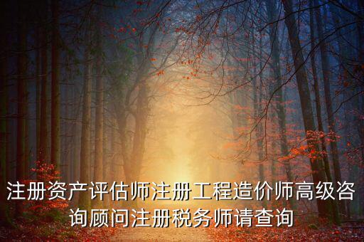 如何查詢稅務師信息，注冊稅務師報名時的信息哪里能查到
