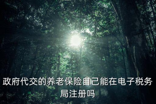 政府代交的養老保險自己能在電子稅務局注冊嗎