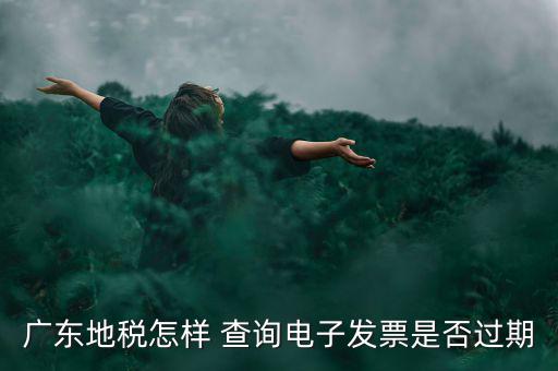 如何查詢電子發票是否有效，廣東地稅怎樣 查詢電子發票是否過期