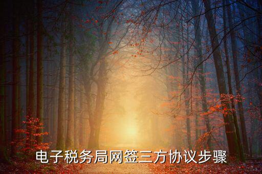 電子稅務局網簽三方協議步驟