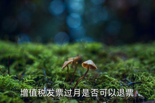 增值稅發票過月是否可以退票