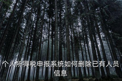 金三系統個稅申報人員如何刪除，如何刪掉個人所得稅人員信息
