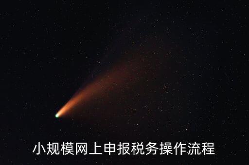 小規模網上申報稅務操作流程