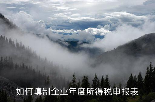 如何填制企業年度所得稅申報表