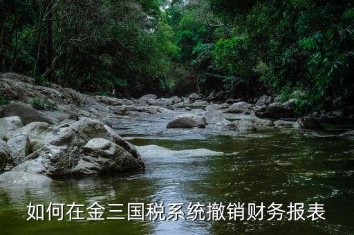 如何在金三國稅系統撤銷財務報表