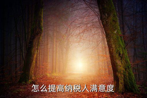 如何提升納稅人獲得感，怎么提高納稅人滿意度