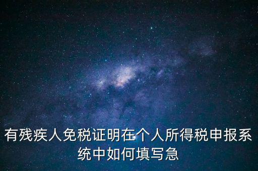 有殘疾人免稅證明在個人所得稅申報系統中如何填寫急