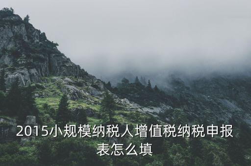 2015小規模納稅人增值稅納稅申報表怎么填
