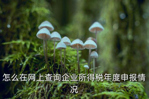 如何查詢企業個稅申報名單，怎樣查詢公司的所得稅已經申報了