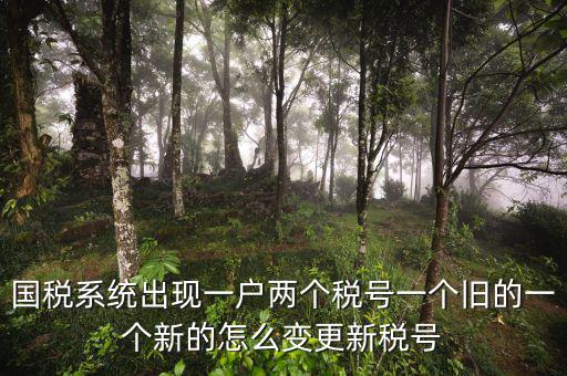 國稅系統出現一戶兩個稅號一個舊的一個新的怎么變更新稅號