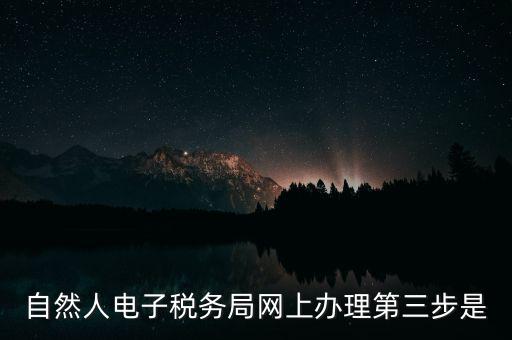如何趕寫自然人稅管理系統，新個稅系統操作流程