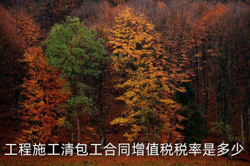 清包工 如何稅務，一般納稅人去國稅說明是清包工怎么寫說明