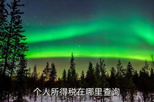 江蘇自然人如何查詢個稅繳納，個人稅怎么查