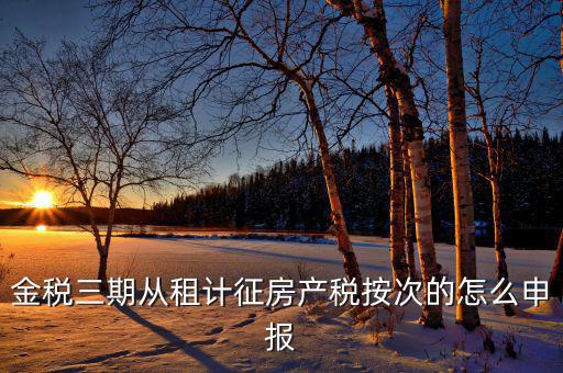 金稅三期如何申報房產稅，金稅三期 個稅 生產經營所得怎么申報