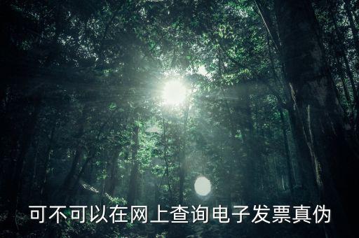 可不可以在網上查詢電子發票真偽