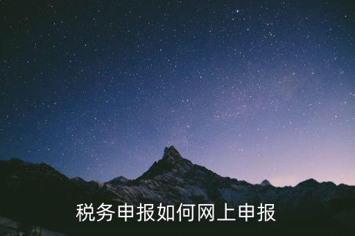 網(wǎng)上系統(tǒng)如何申報稅，稅務(wù)申報如何網(wǎng)上申報