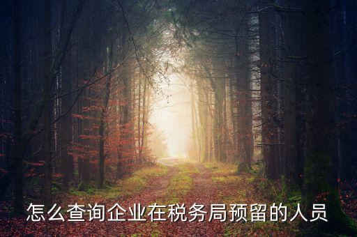 怎么查詢企業在稅務局預留的人員