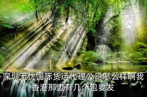 深圳無憂國際貨運代理公司怎么樣啊我香港那邊有幾個包要發