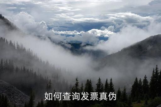 如何查詢發票真偽