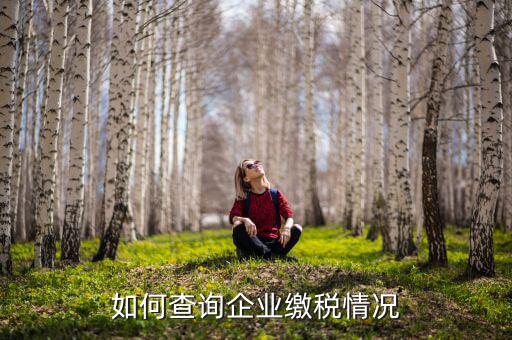 如何查詢企業繳稅情況